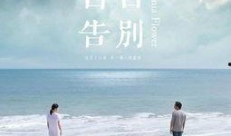 百日告别在线观看,深情告别，时光流转的感人之旅